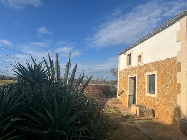 Imagen 32 Inmueble 299398 - Casa Rústica en venta en Llucmajor / Finca con antigua cuadra ecuestre +vivienda residencial 