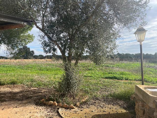 Imagen 23 Inmueble 299398 - Casa Rústica en venta en Llucmajor / Finca con antigua cuadra ecuestre +vivienda residencial 