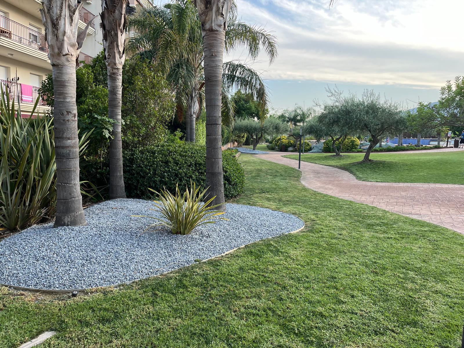 Imagen 27 Piso en venta en Sant Carles De La Ràpita / Apartaments Golden Beach, frente Platja de les...