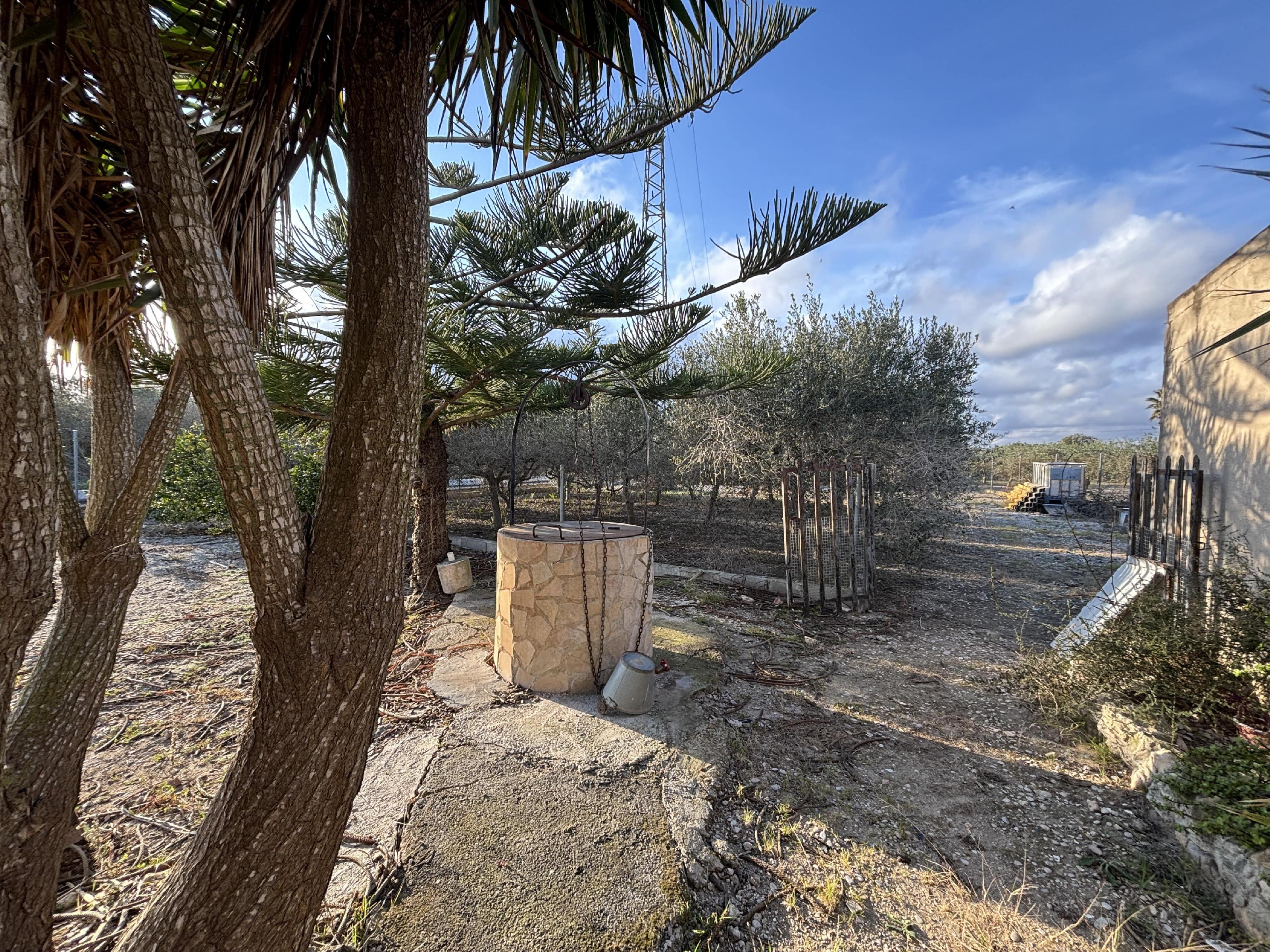 Imagen 5 Casa Rústica en venta en Sant Carles De La Ràpita / En el Camí del Poble Nou, partida Maquineta