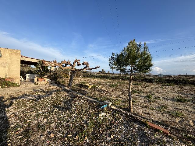 Imagen 16 Inmueble 291786 - Casa Rústica en venta en Sant Carles De La Ràpita / En el Camí del Poble Nou, partida Maquineta