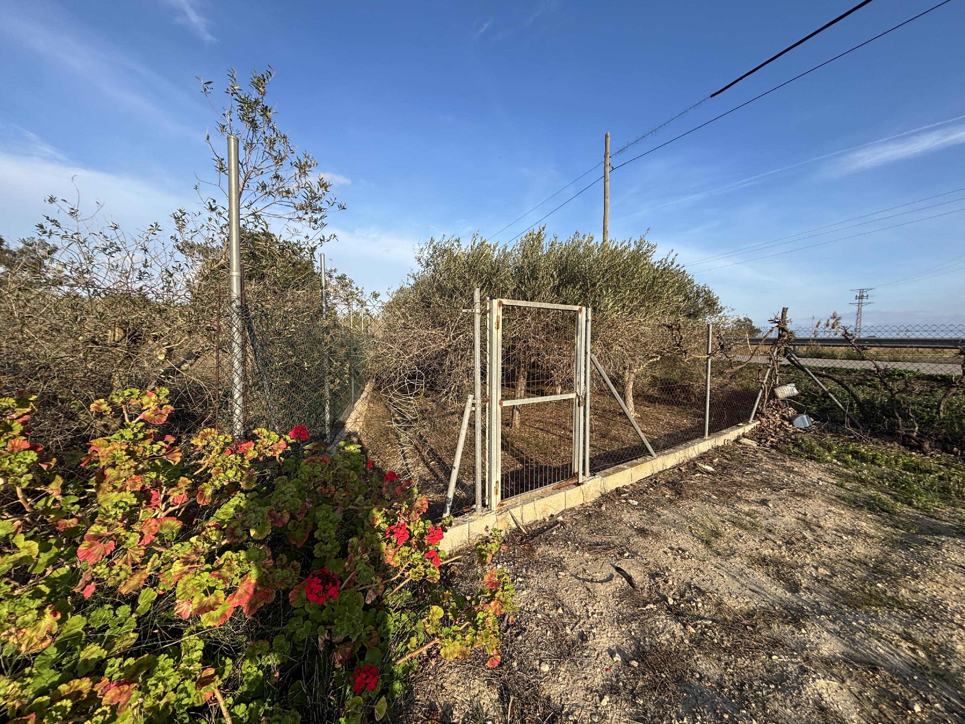 Imagen 4 Casa Rústica en venta en Sant Carles De La Ràpita / En el Camí del Poble Nou, partida Maquineta