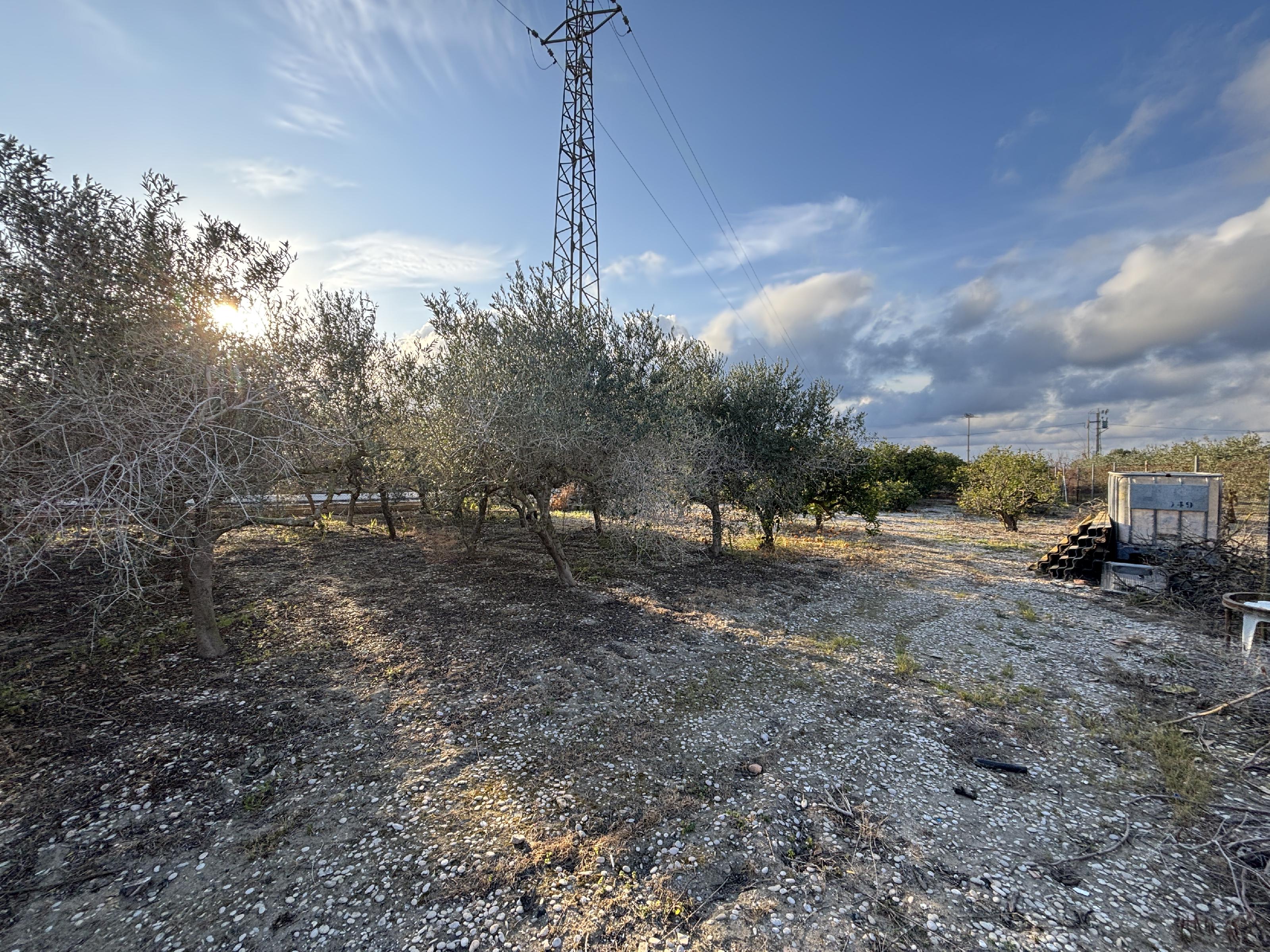 Imagen 6 Casa Rústica en venta en Sant Carles De La Ràpita / En el Camí del Poble Nou, partida Maquineta