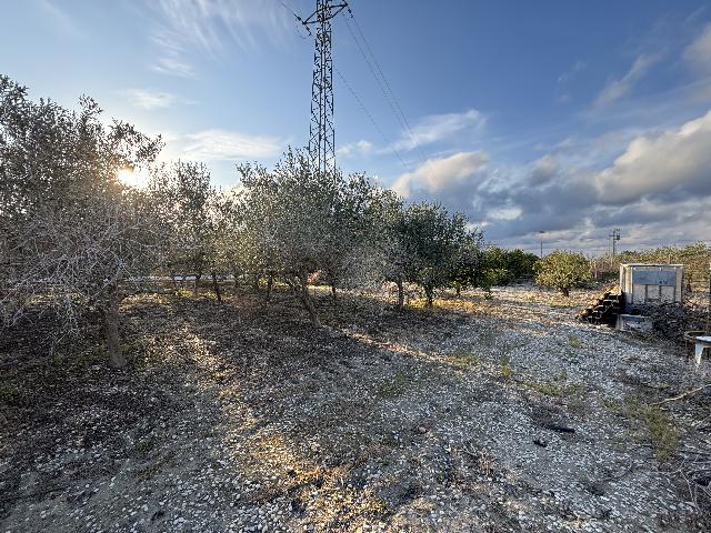 Imagen 6 Inmueble 291786 - Casa Rústica en venta en Sant Carles De La Ràpita / En el Camí del Poble Nou, partida Maquineta