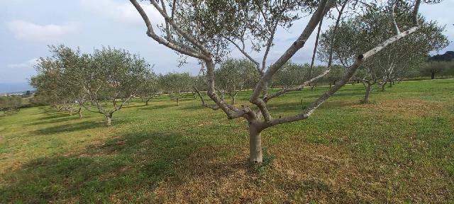 Imagen 29 Inmueble 293662 - Casa en venta en Catllar (El) / Ctra. El Pont d´Armentera, entre Mèdol y La Secuita