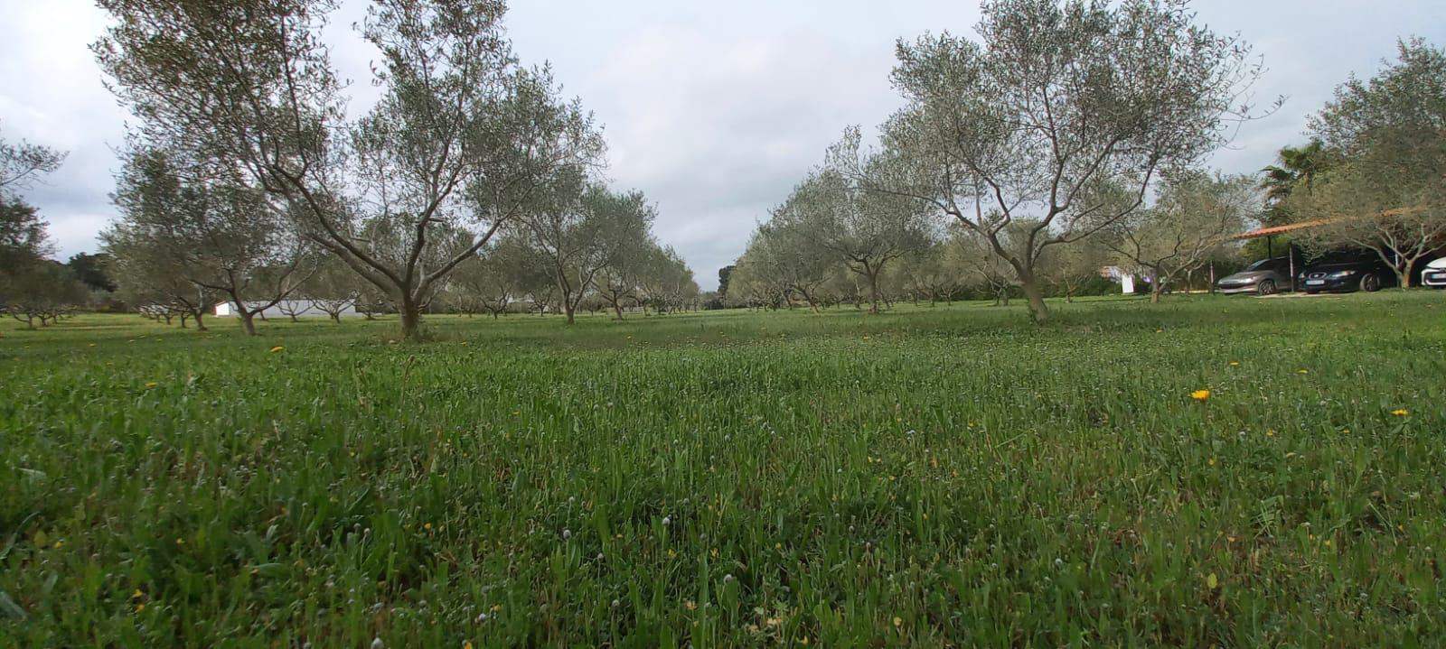 Imagen 31 Casa en venta en Catllar El / Ctra. El Pont d´Armentera, entre Mèdol y La Secuita