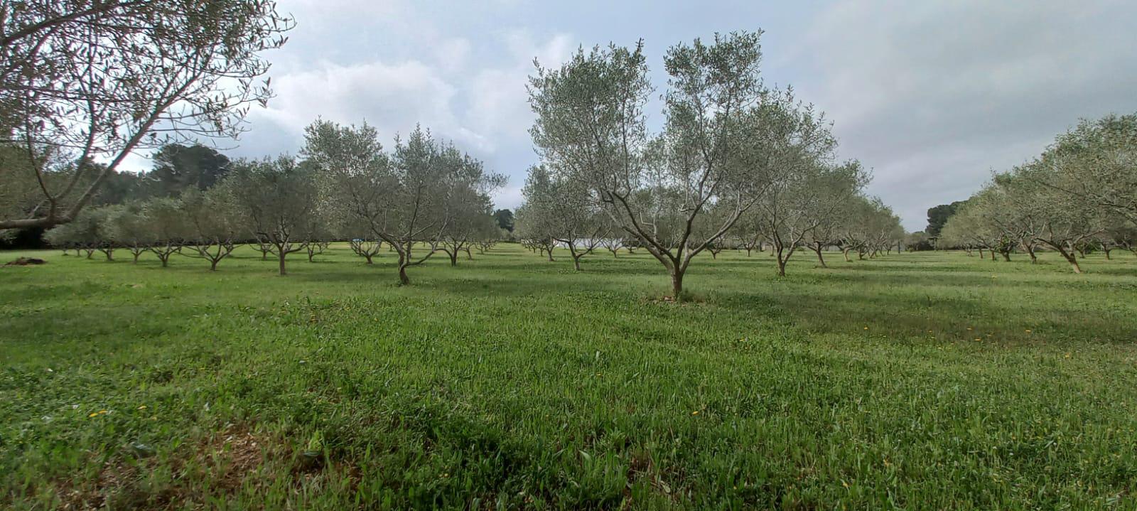 Imagen 30 Casa en venta en Catllar El / Ctra. El Pont d´Armentera, entre Mèdol y La Secuita