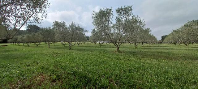 Imagen 30 Inmueble 293662 - Casa en venta en Catllar (El) / Ctra. El Pont d´Armentera, entre Mèdol y La Secuita