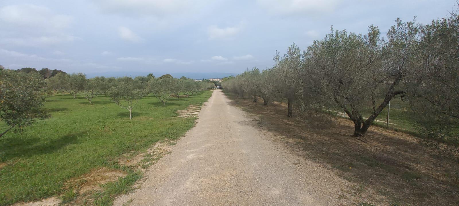 Imagen 32 Casa en venta en Catllar El / Ctra. El Pont d´Armentera, entre Mèdol y La Secuita