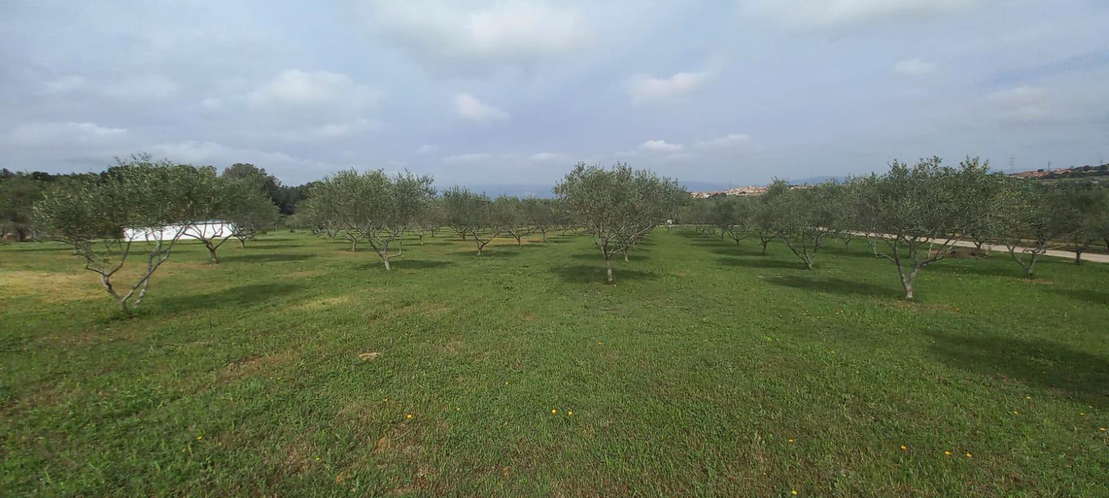 Imagen 34 Casa en venta en Catllar El / Ctra. El Pont d´Armentera, entre Mèdol y La Secuita