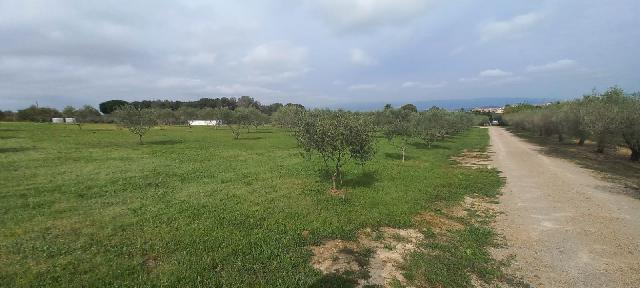 Imagen 35 Inmueble 293662 - Casa en venta en Catllar (El) / Ctra. El Pont d´Armentera, entre Mèdol y La Secuita