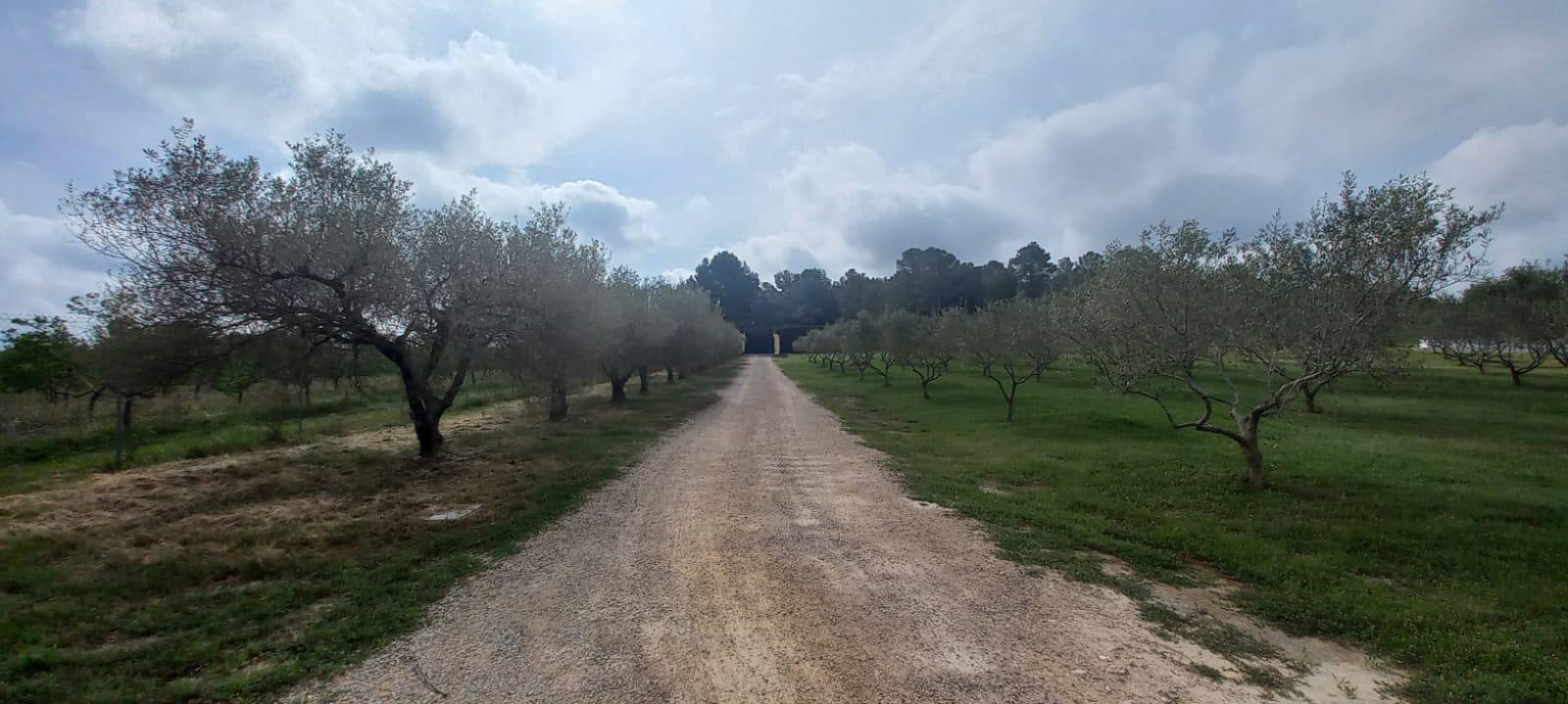 Imagen 36 Casa en venta en Catllar El / Ctra. El Pont d´Armentera, entre Mèdol y La Secuita