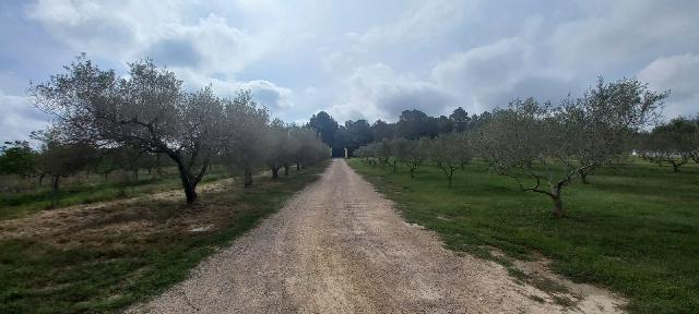 Imagen 36 Inmueble 293662 - Casa en venta en Catllar (El) / Ctra. El Pont d´Armentera, entre Mèdol y La Secuita