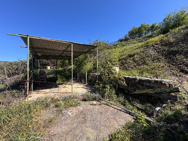 Imagen 7 Inmueble 264520 - Casa Rústica en venta en Málaga / Finca Carlinda - cerca del centro de Malaga