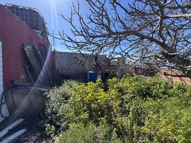 Imagen 26 Inmueble 264520 - Casa Rústica en venta en Málaga / Finca Carlinda - cerca del centro de Malaga