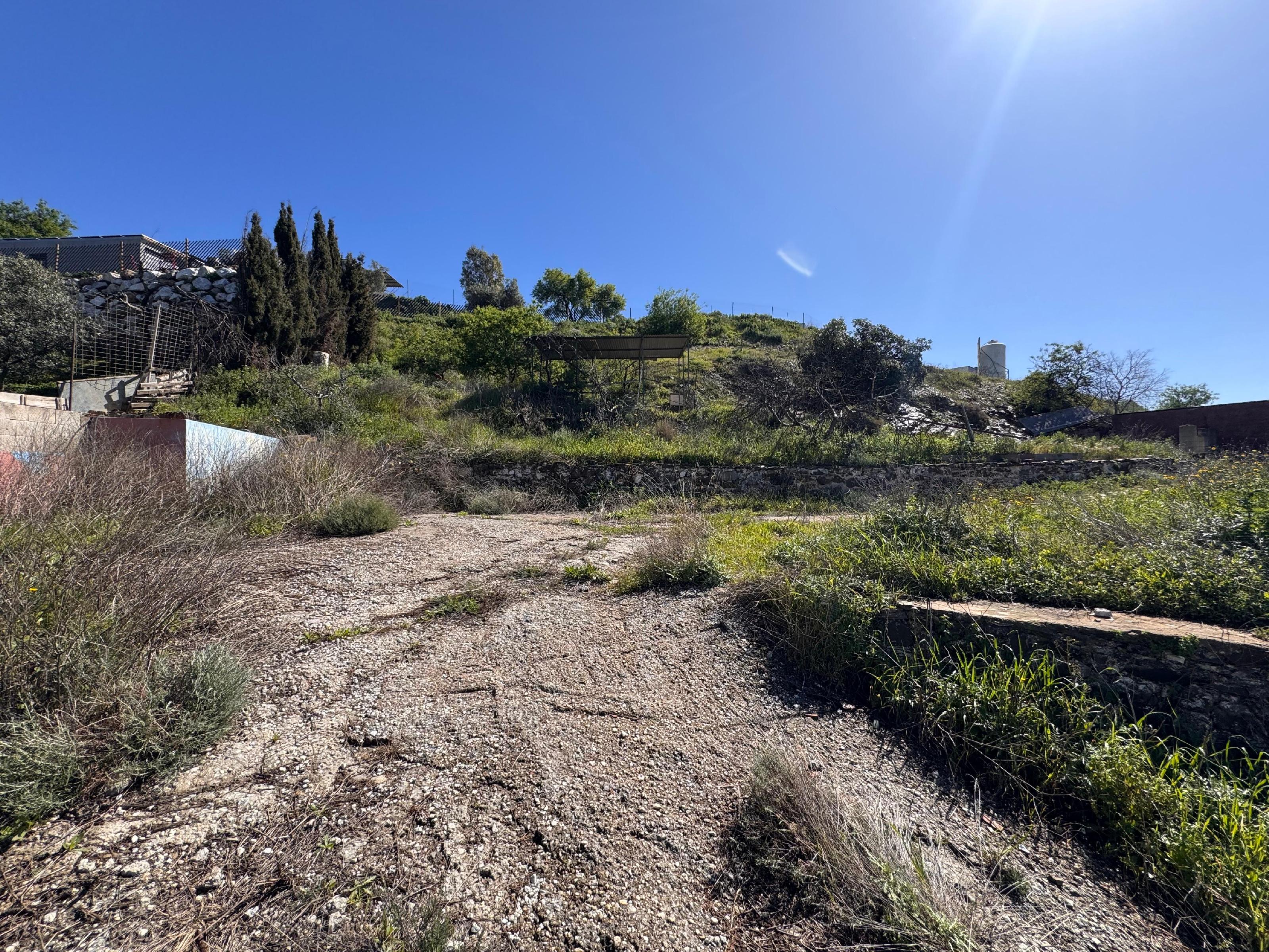 Imagen 28 Casa Rústica en venta en Málaga / Finca Carlinda - cerca del centro de Malaga