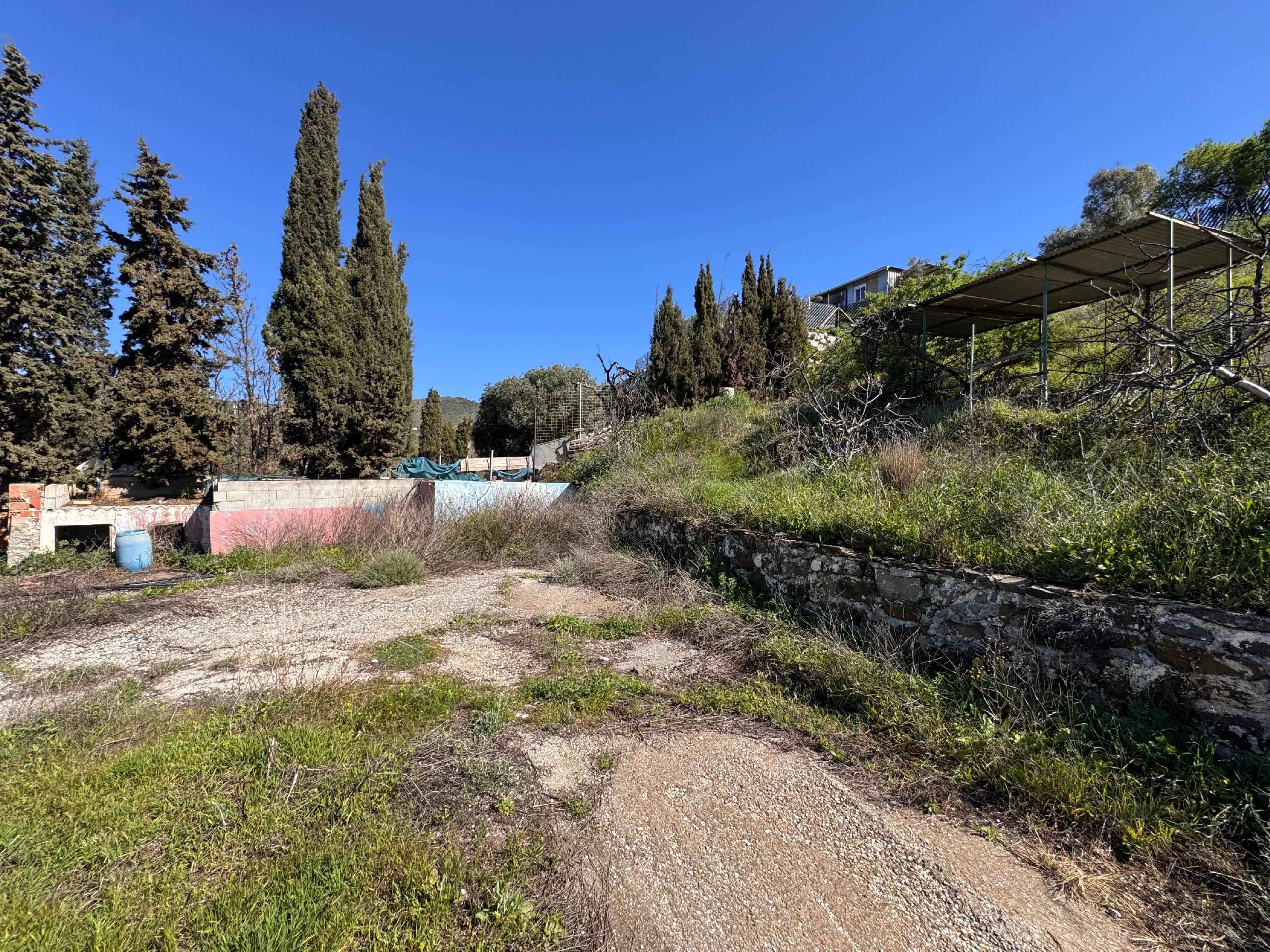 Imagen 6 Casa Rústica en venta en Málaga / Finca Carlinda - cerca del centro de Malaga