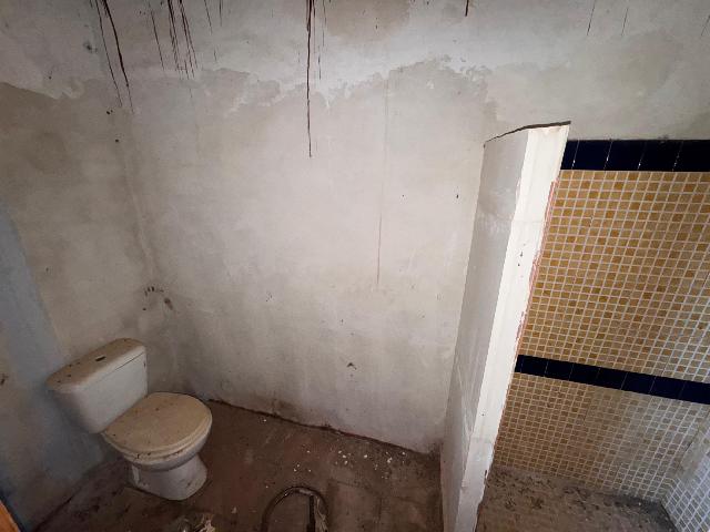 Imagen 20 Inmueble 264520 - Casa Rústica en venta en Málaga / Finca Carlinda - cerca del centro de Malaga