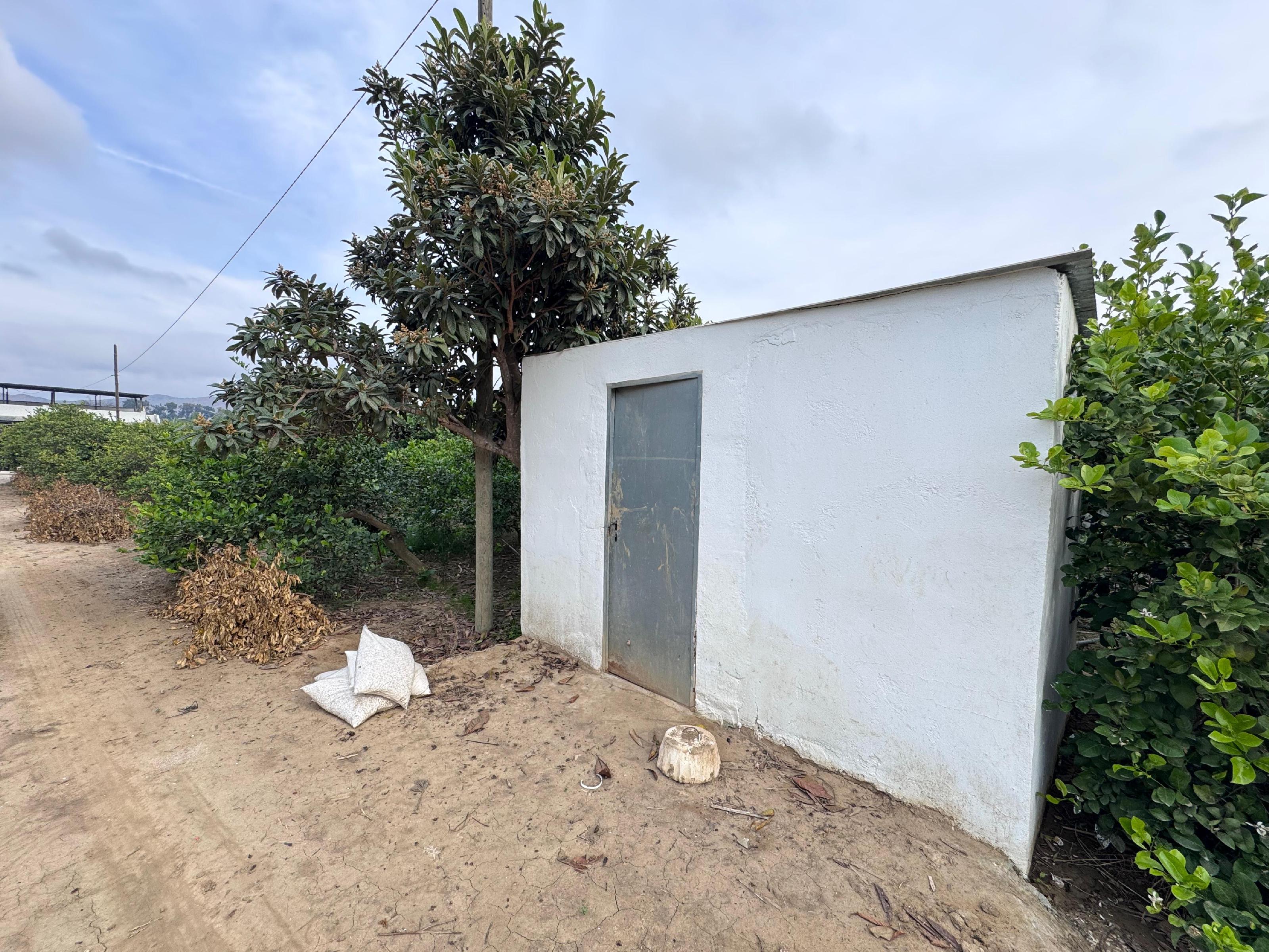 Imagen 14 Casa Rústica en venta en Cártama / Finca ubicada a tan solo unos 5 mint del pueblo Cartama