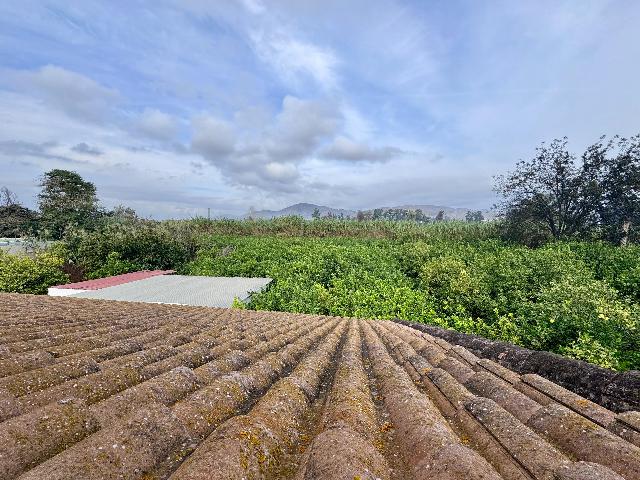 Imagen 4 Inmueble 265168 - Casa Rústica en venta en Cártama / Finca ubicada a tan solo unos 5 mint del pueblo Cartama