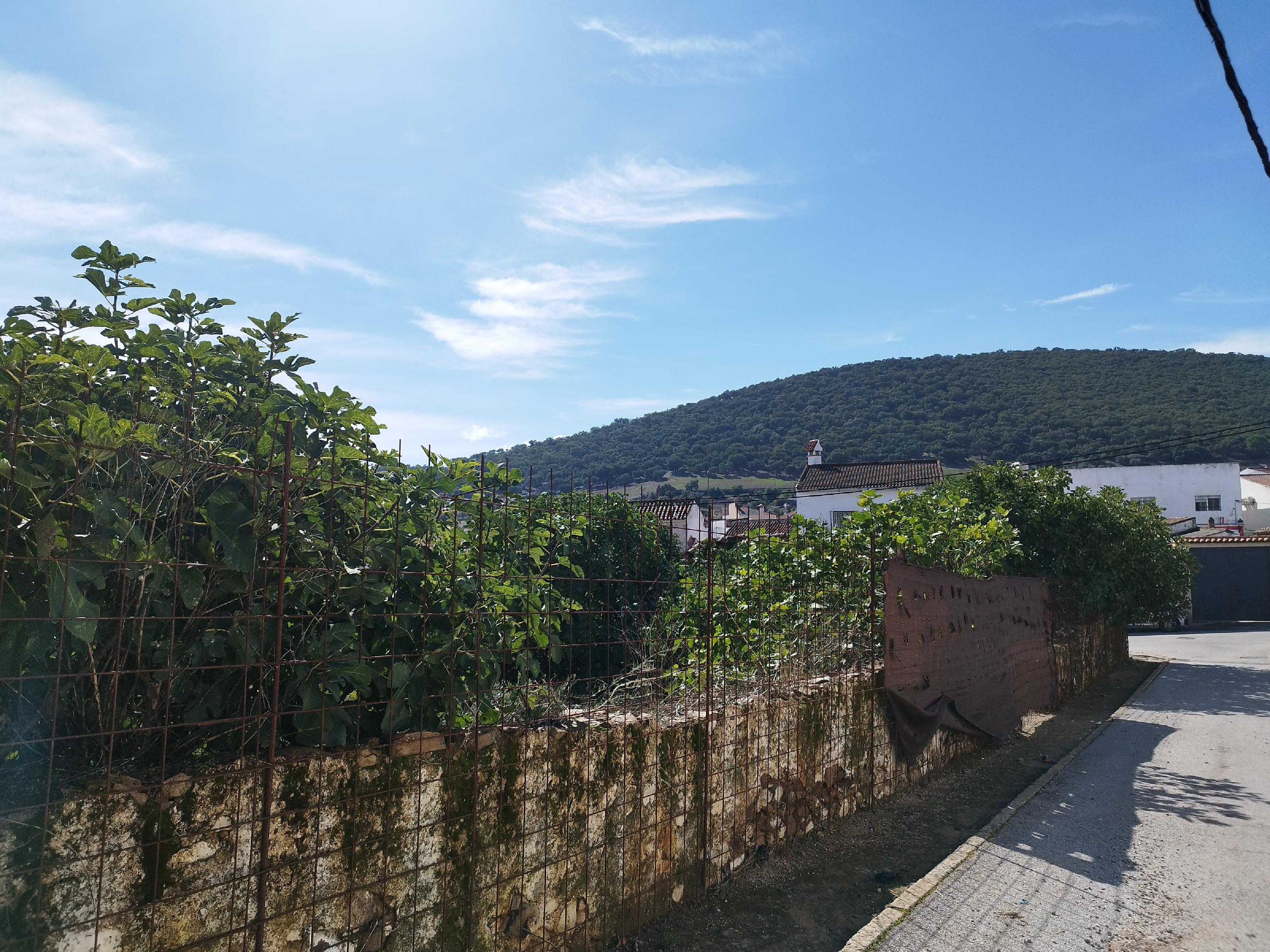 Imagen 10 Casa Adosada en venta en Almadén De La Plata / Casa en Almadén de la Plata, bonito pueblo ...