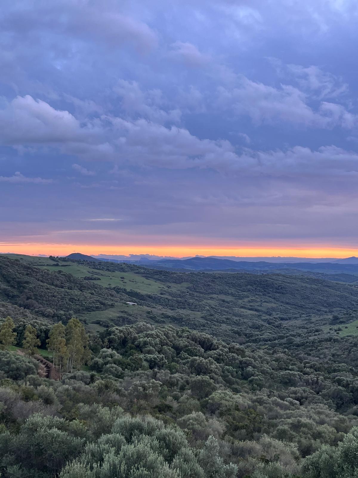Imagen 9 Casa Rústica en venta en Gaucín / Casa independiente de lujo en la sierra de Gaucín