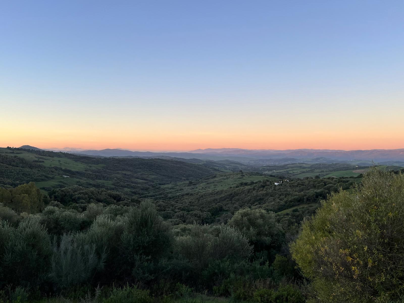 Imagen 11 Casa Rústica en venta en Gaucín / Casa independiente de lujo en la sierra de Gaucín
