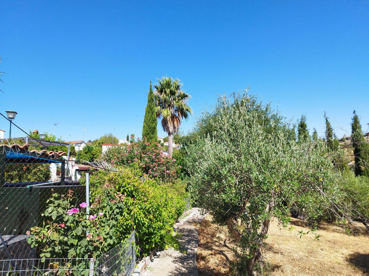 Imagen 7 Casa en venta en Castillo De Las Guardas El / Casa de campo con 3000 mt en El Castillo d...