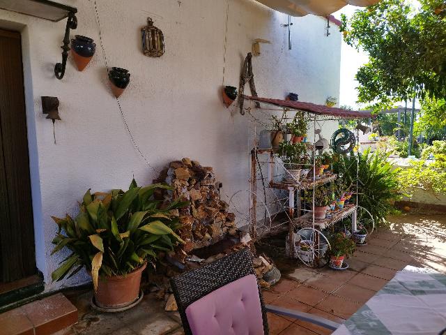 Imagen 10 Inmueble 295790 - Casa en venta en Castillo De Las Guardas (El) / Casa de campo con 3000 mt en El Castillo d...