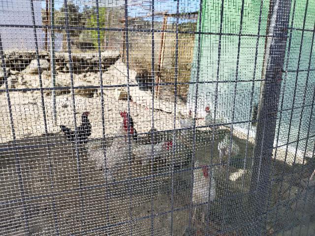 Imagen 20 Inmueble 295790 - Casa en venta en Castillo De Las Guardas (El) / Casa de campo con 3000 mt en El Castillo d...