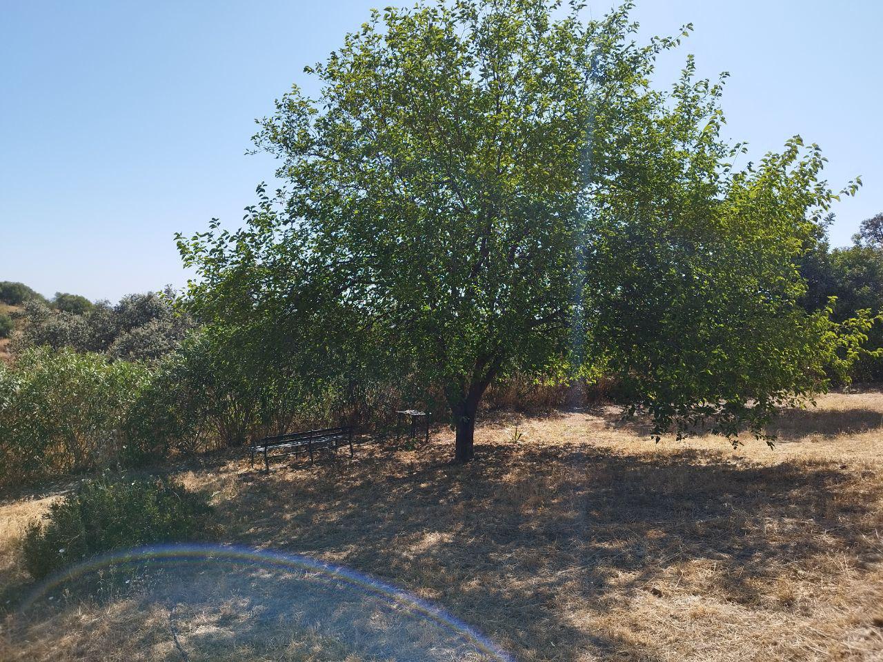 Imagen 11 Casa en venta en Castillo De Las Guardas El / Casa de campo con 3000 mt en El Castillo d...