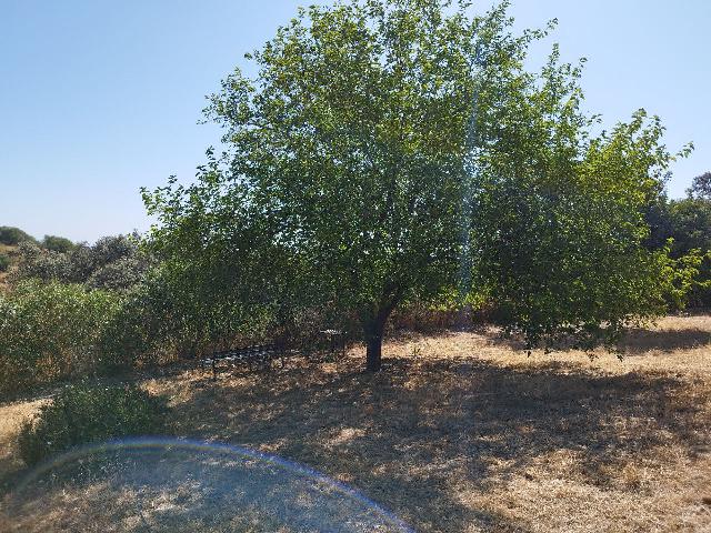 Imagen 11 Inmueble 295790 - Casa en venta en Castillo De Las Guardas (El) / Casa de campo con 3000 mt en El Castillo d...