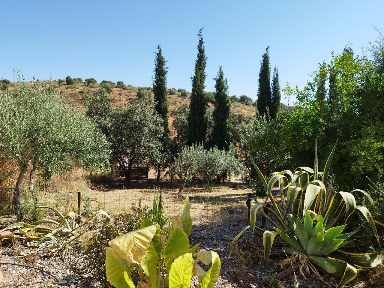 Imagen 1 Casa en venta en Castillo De Las Guardas El / Casa de campo con 3000 mt en El Castillo d...