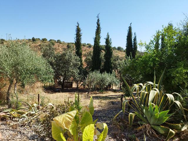 Imagen 1 Inmueble 295790 - Casa en venta en Castillo De Las Guardas (El) / Casa de campo con 3000 mt en El Castillo d...