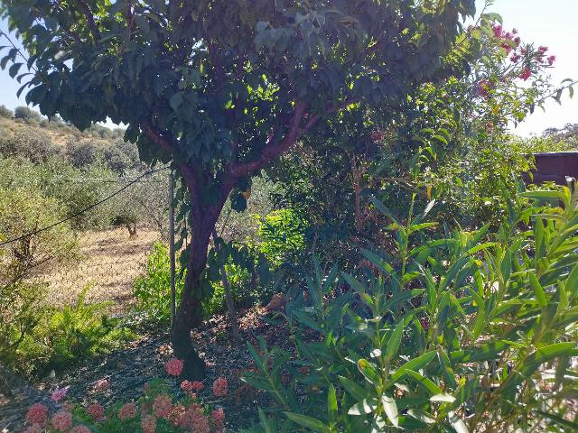 Imagen 24 Inmueble 295790 - Casa en venta en Castillo De Las Guardas (El) / Casa de campo con 3000 mt en El Castillo d...