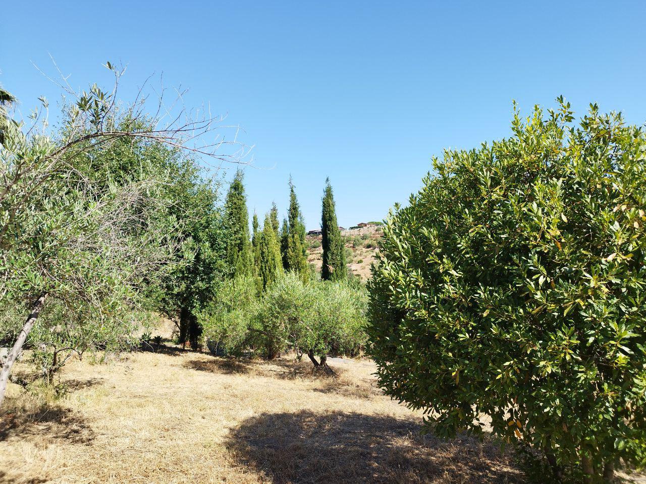 Imagen 28 Casa en venta en Castillo De Las Guardas El / Casa de campo con 3000 mt en El Castillo d...