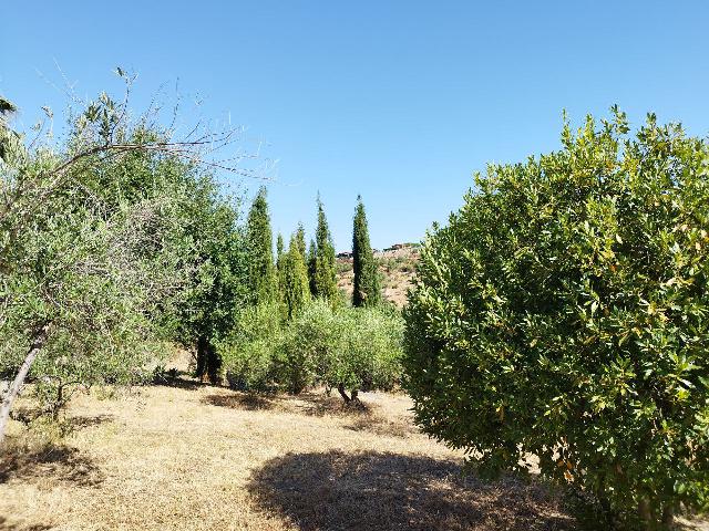 Imagen 28 Inmueble 295790 - Casa en venta en Castillo De Las Guardas (El) / Casa de campo con 3000 mt en El Castillo d...