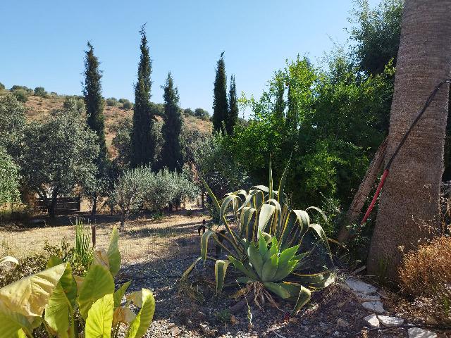 Imagen 21 Inmueble 295790 - Casa en venta en Castillo De Las Guardas (El) / Casa de campo con 3000 mt en El Castillo d...