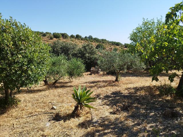 Imagen 6 Inmueble 295790 - Casa en venta en Castillo De Las Guardas (El) / Casa de campo con 3000 mt en El Castillo d...