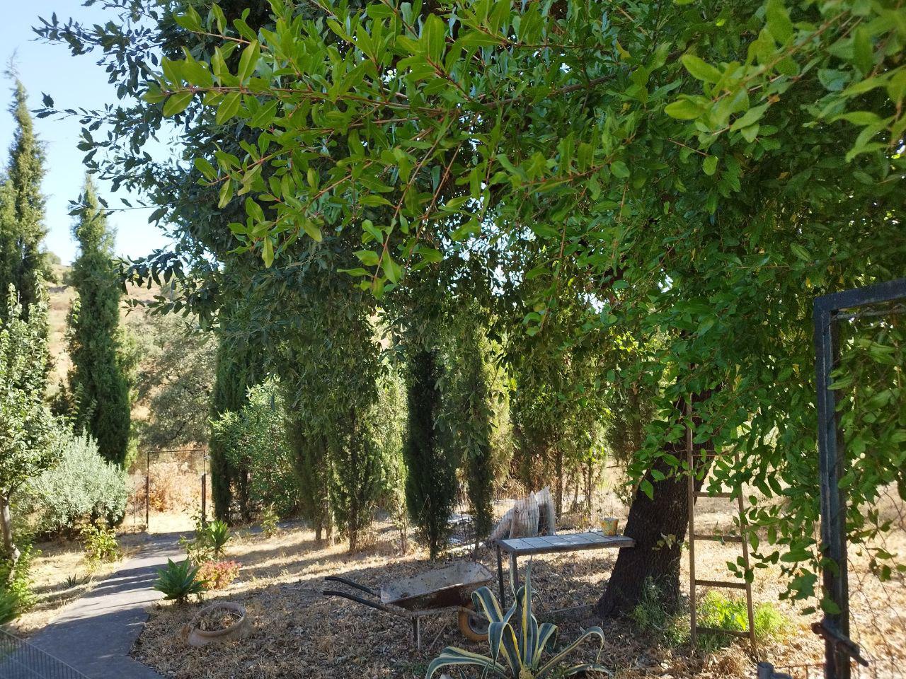 Imagen 2 Casa en venta en Castillo De Las Guardas El / Casa de campo con 3000 mt en El Castillo d...