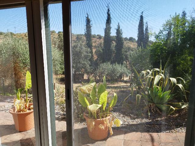 Imagen 69 Inmueble 295790 - Casa en venta en Castillo De Las Guardas (El) / Casa de campo con 3000 mt en El Castillo d...