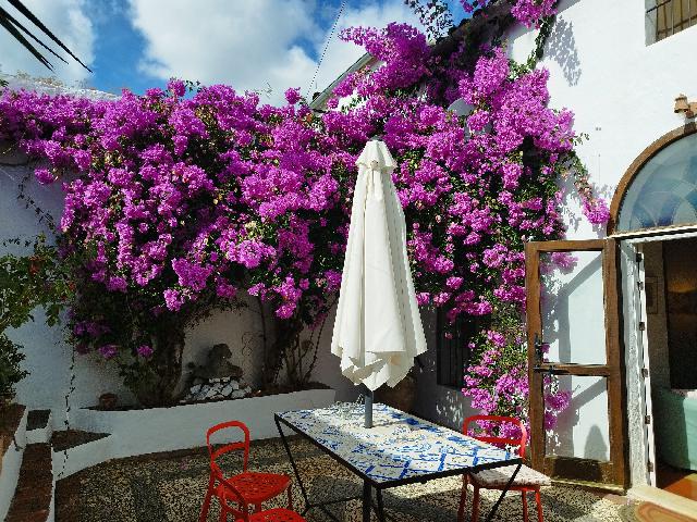 Imagen 2 Inmueble 298381 - Casa Adosada en venta en Almadén De La Plata / Casa señorial en venta ubicada en la plaza ...