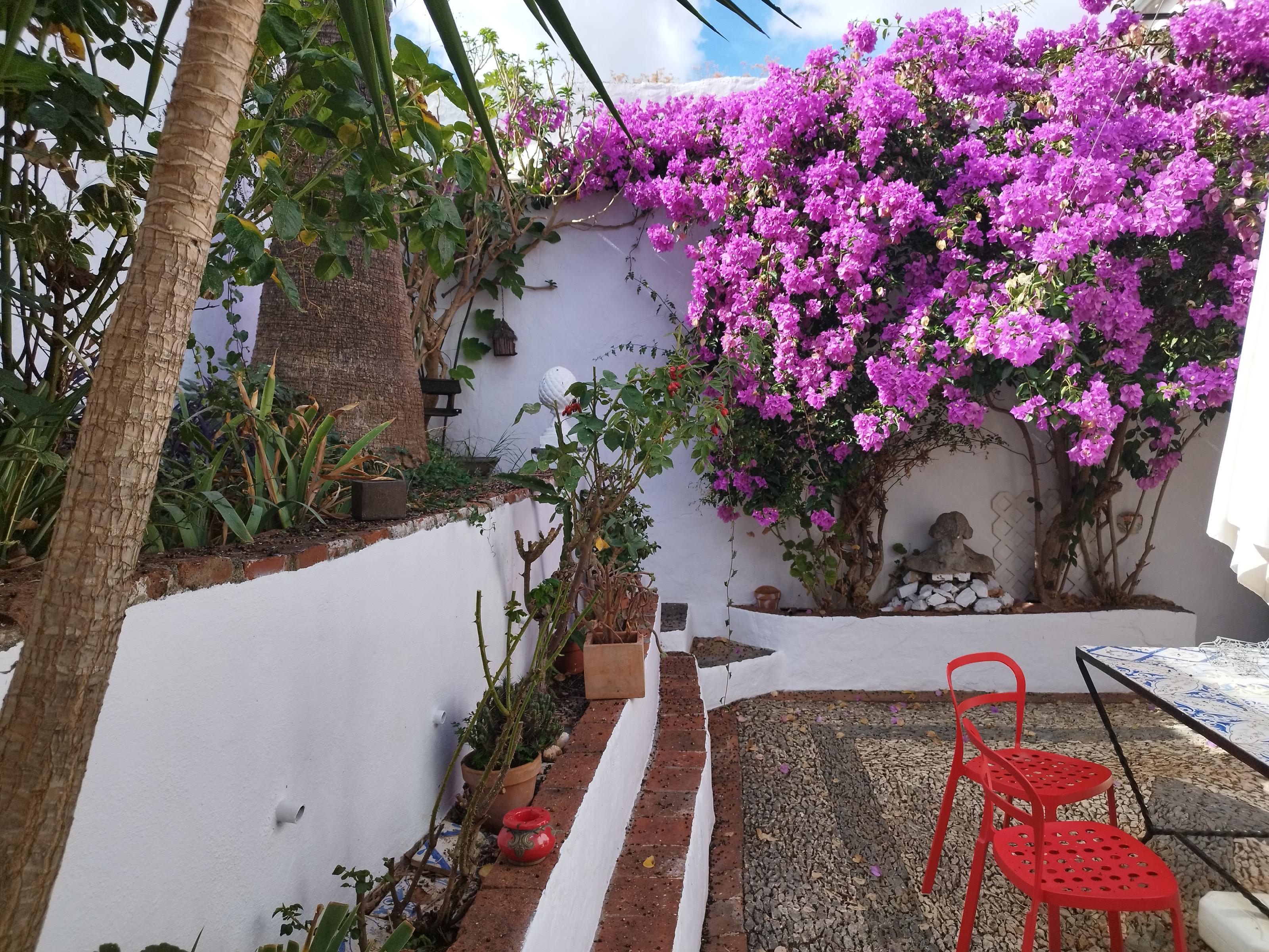 Imagen 5 Casa Adosada en venta en Almadén De La Plata / Casa señorial en venta ubicada en la plaza ...