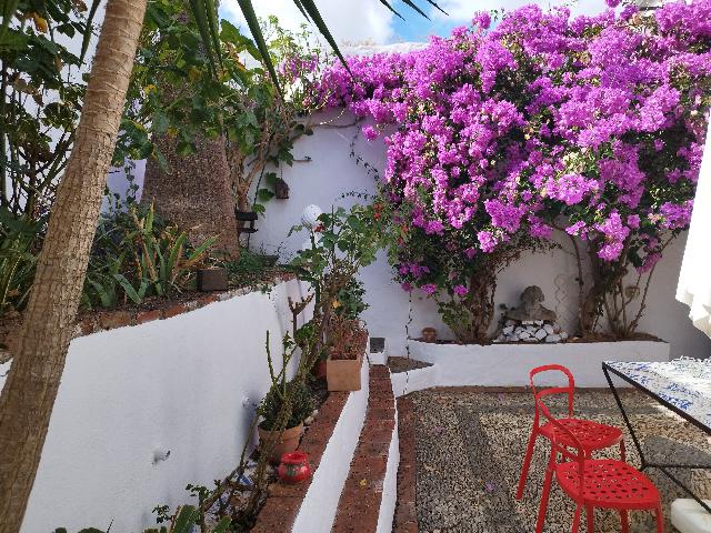 Imagen 5 Inmueble 298381 - Casa Adosada en venta en Almadén De La Plata / Casa señorial en venta ubicada en la plaza ...