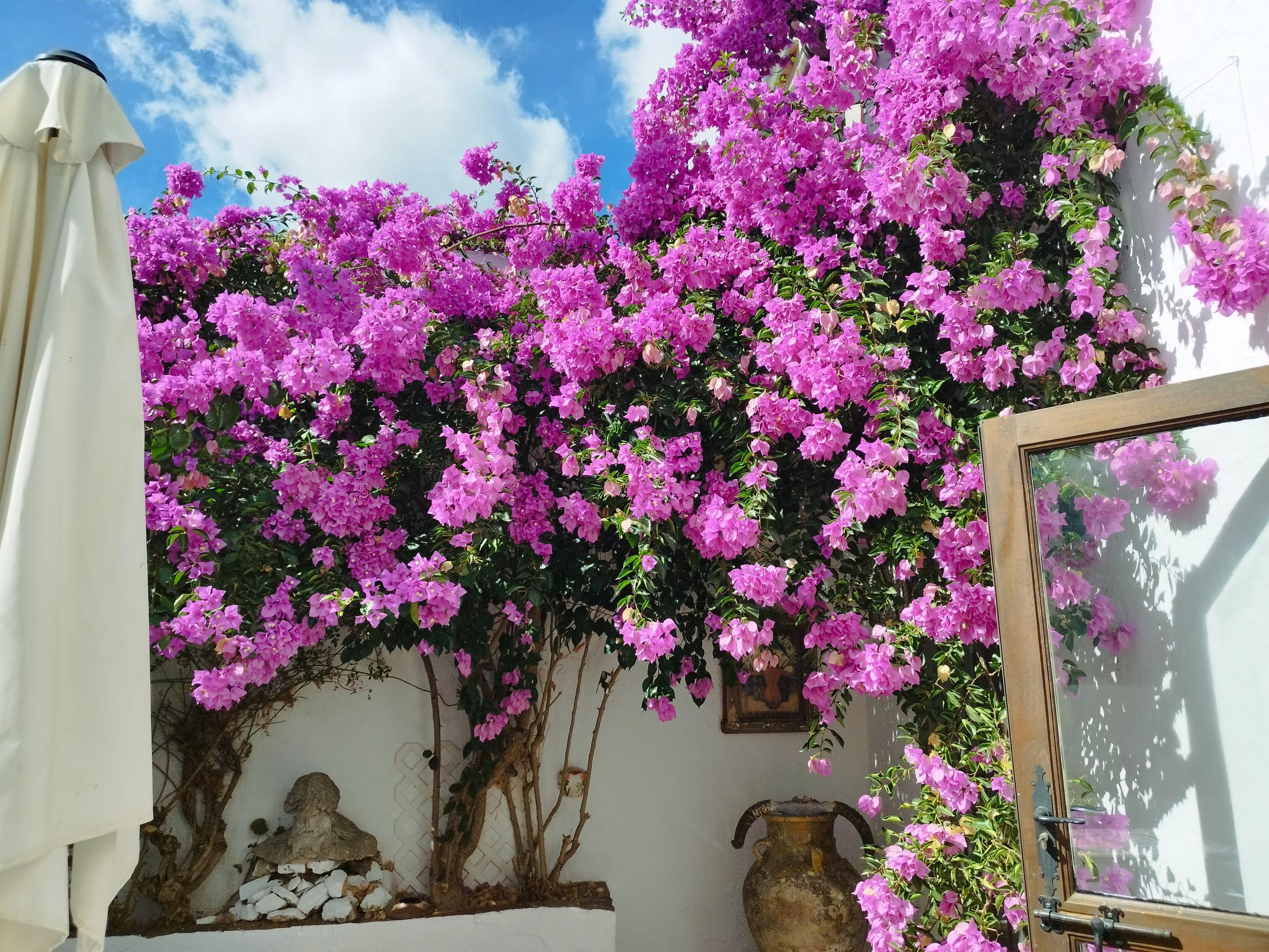 Imagen 4 Casa Adosada en venta en Almadén De La Plata / Casa señorial en venta ubicada en la plaza ...