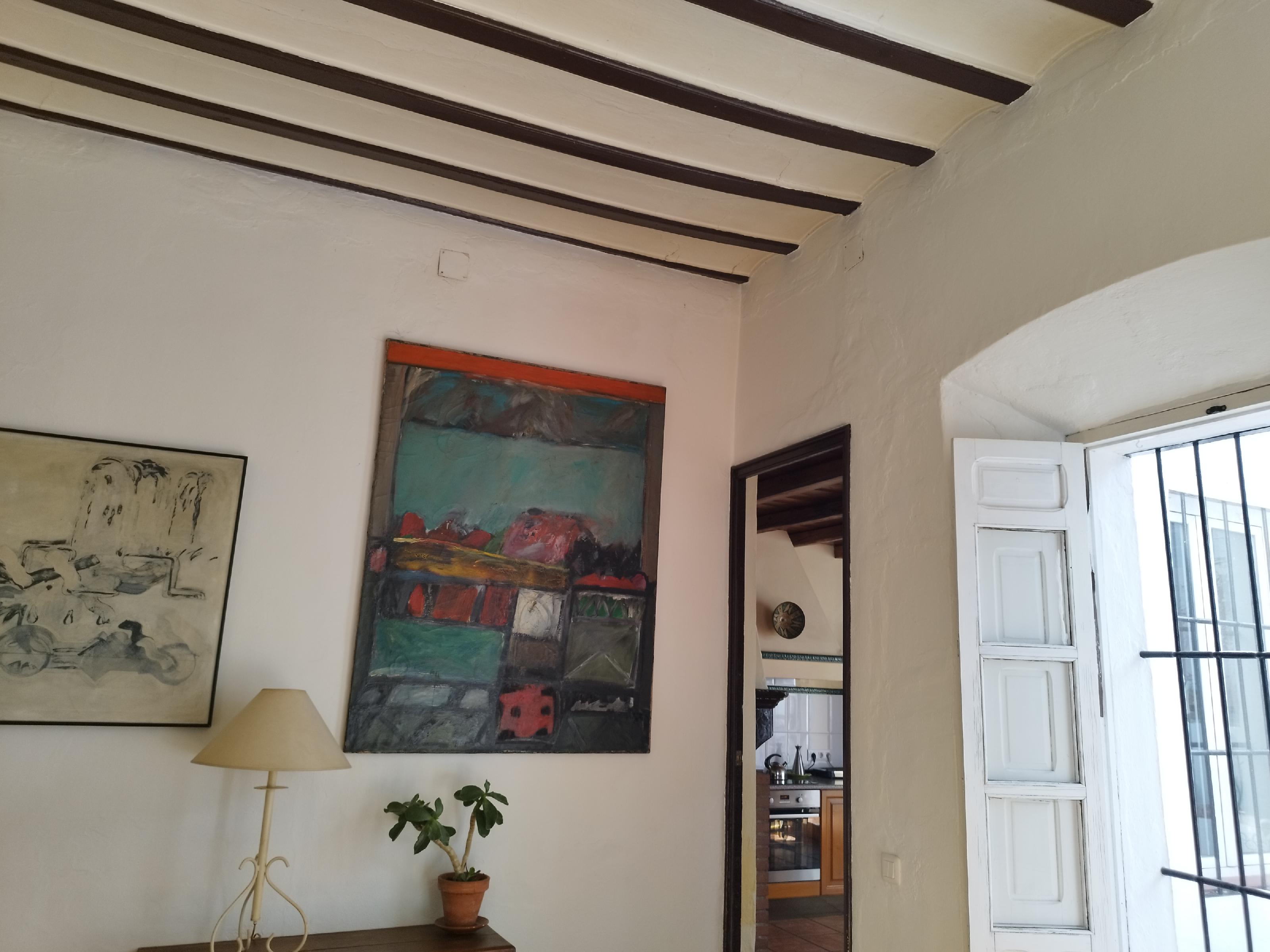 Imagen 20 Casa Adosada en venta en Almadén De La Plata / Casa señorial en venta ubicada en la plaza ...