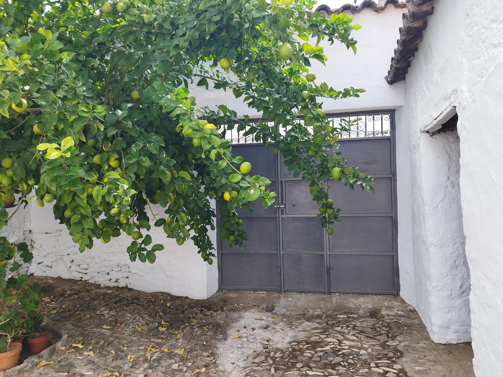 Imagen 32 Casa Adosada en venta en Almadén De La Plata / Casa señorial en venta ubicada en la plaza ...