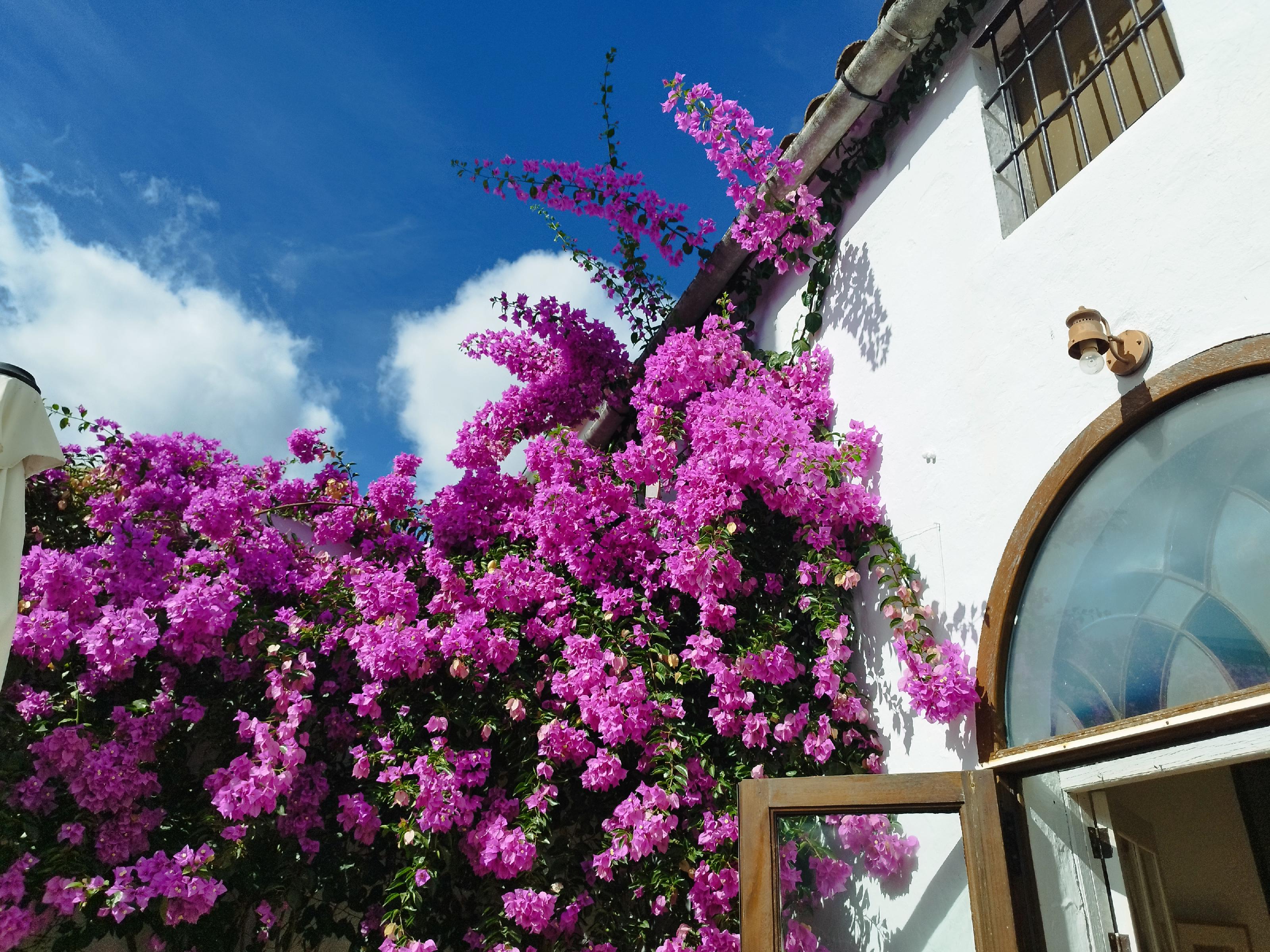 Imagen 3 Casa Adosada en venta en Almadén De La Plata / Casa señorial en venta ubicada en la plaza ...