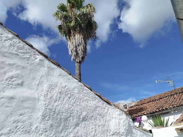 Imagen 31 Inmueble 298381 - Casa Adosada en venta en Almadén De La Plata / Casa señorial en venta ubicada en la plaza ...