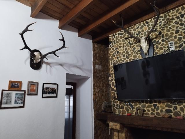 Imagen 7 Inmueble 301369 - Casa Adosada en venta en Almadén De La Plata / En plaza principal, en pleno centro de la l...